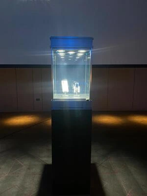 Showcase 6